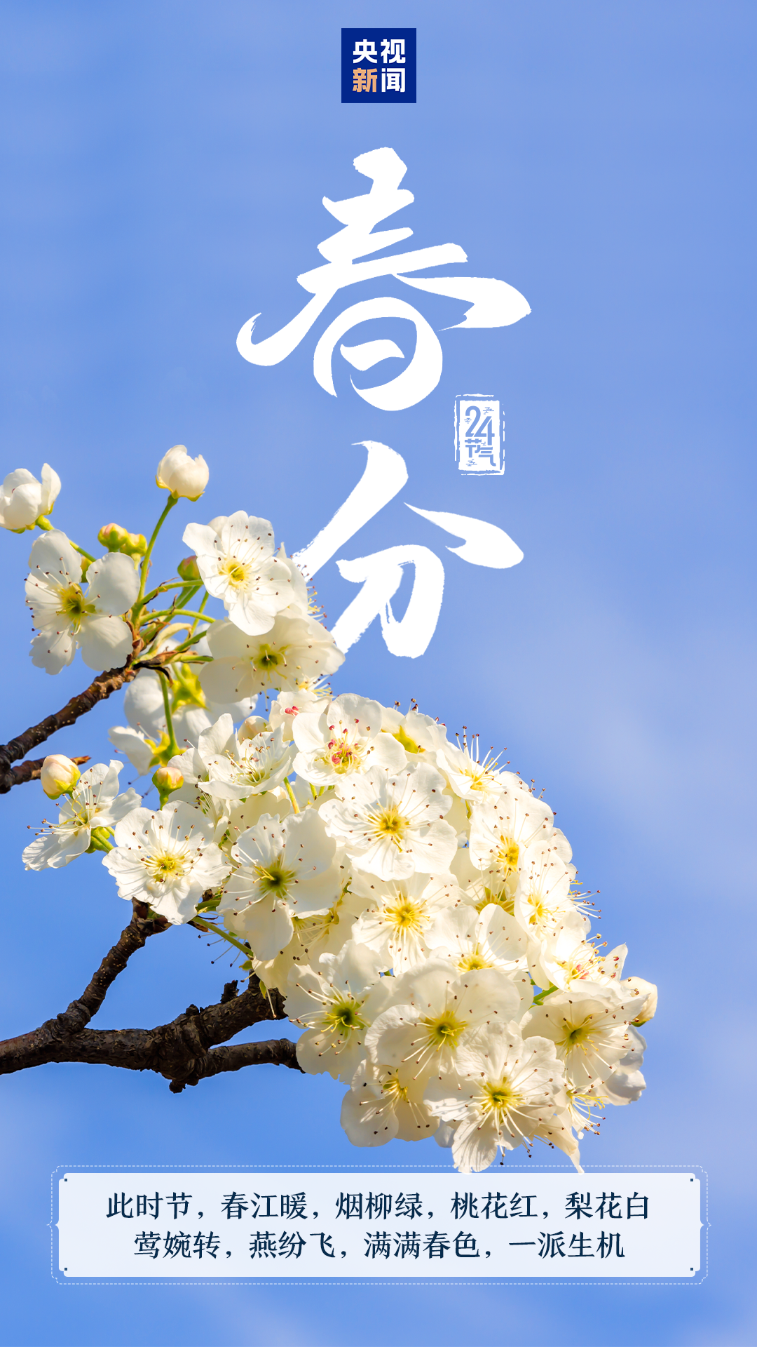 春和景明万象更新 今日迎来“春分”节气