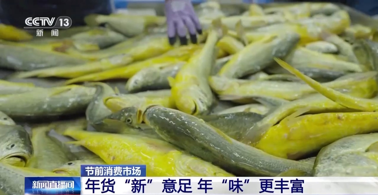 南货北上 年货“新”意足 年味更丰富