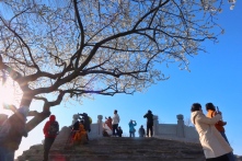 北京：颐和园春色渐浓