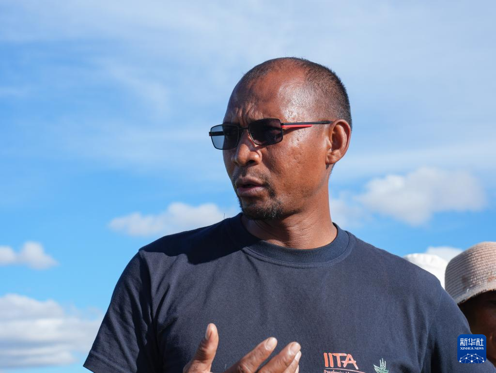 飘过印度洋的稻花香 飘过印度洋的稻花香