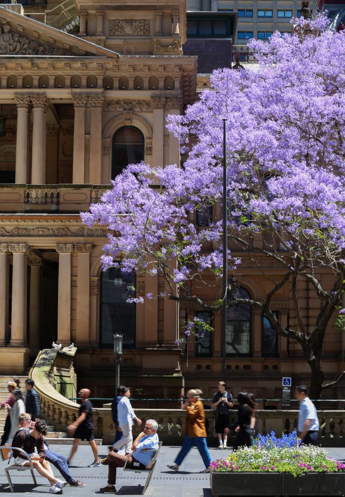 全球首例 澳大利亚16岁以下人群“社媒禁令”即将生效 全球首例 澳大利亚16岁以下人群“社媒禁令”即将生效