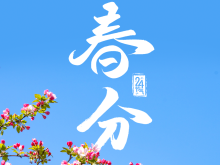 春和景明万象更新 今日迎来“春分”节气 春和景明万象更新 今日迎来“春分”节气