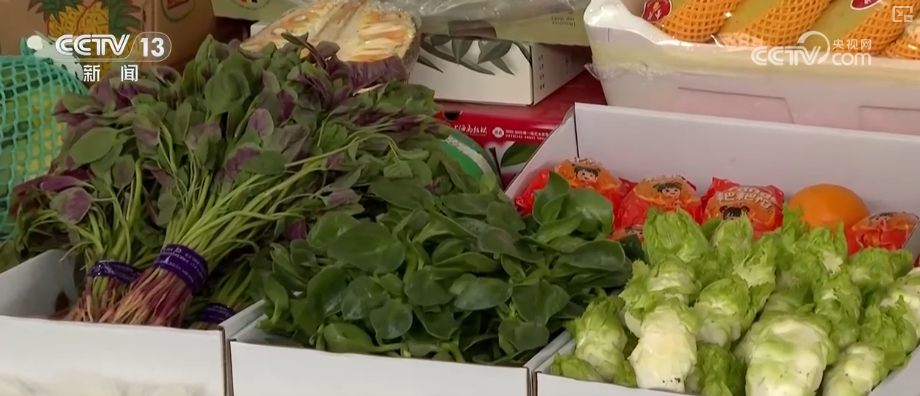 生鲜果蔬、年宵花卉、特色美食齐上阵 节前消费新图景活力涌动