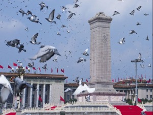 “人类和平与发展的崇高事业必将胜利！”——习近平总书记重要讲话揭示历史前进的必然逻辑