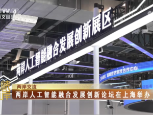 【海峡两岸】两岸人工智能融合发展创新论坛在上海举办