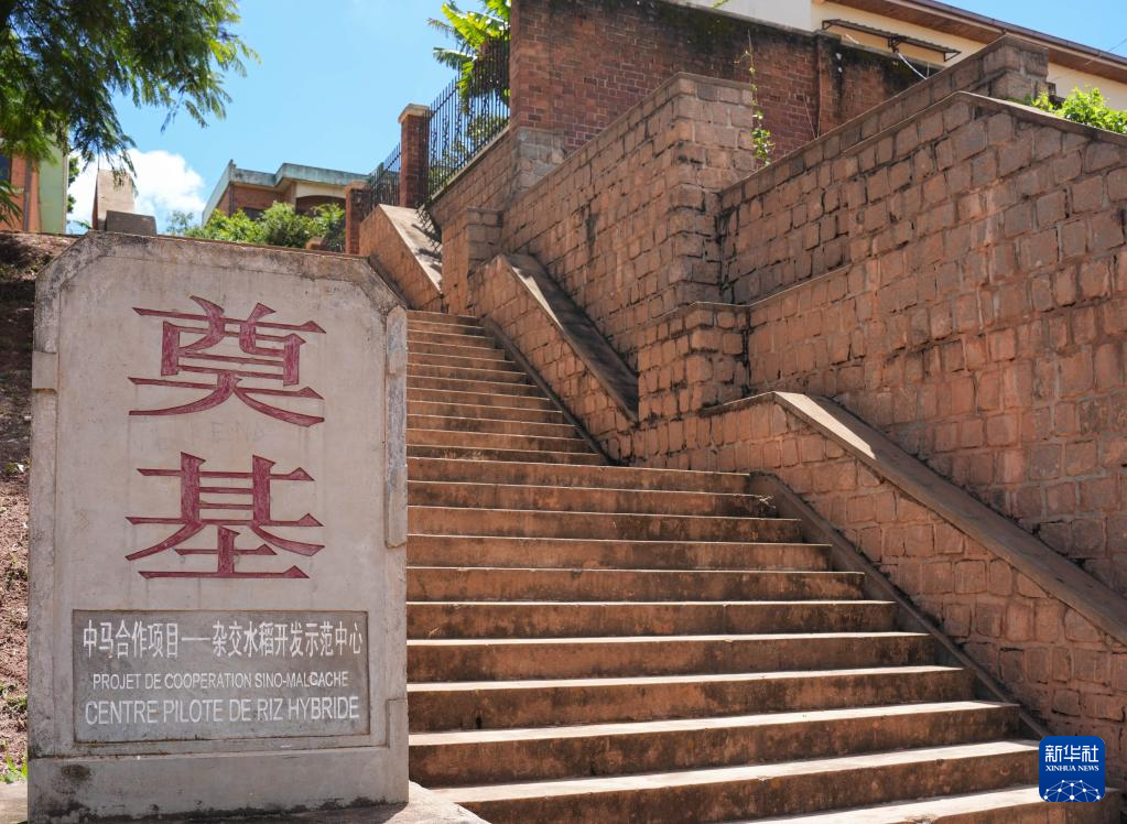 飘过印度洋的稻花香 飘过印度洋的稻花香