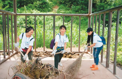 讓亞洲象大搖大擺“跨境游”