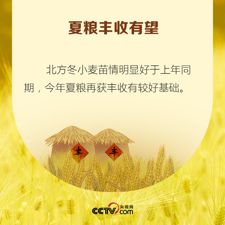 疫情或将引发粮食危机 我需要囤粮吗？