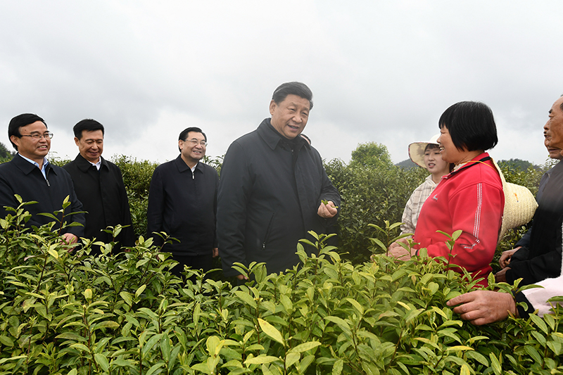 保護(hù)生態(tài)環(huán)境，牢記習(xí)近平提出的“五個(gè)追求”