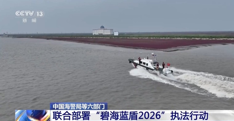 六部门开展“碧海蓝盾2026”执法行动 守护海洋生态