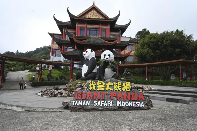 Visitors to Indonesia's panda palace experience charm of Chinese culture