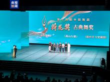 第十四届中国舞蹈荷花奖揭晓 19部作品获奖 第十四届中国舞蹈荷花奖揭晓 19部作品获奖