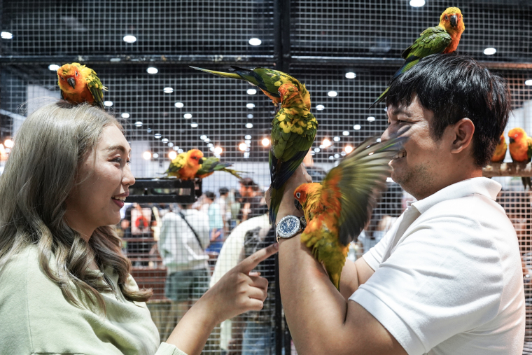 A Real-Life Pet Planet: Cuteness Overload at Thailand’s Pet Expo_fororder_VCG31N2227645037
