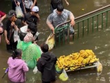 泰国洪灾致23人死亡 内涝持续影响民生