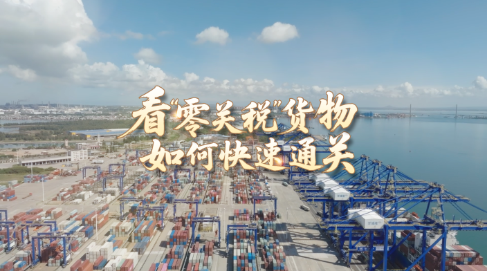在自贸港，看“零关税”货物如何快速通关_fororder_IMG_0226
