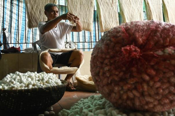A Century-Old Silk Legacy in a Vietnamese Village_fororder_图片4