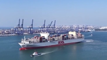 政策红利持续释放 海南自贸港联通世界成全球投资热土