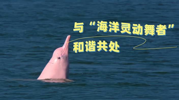 我们该如何与“海洋灵动舞者”和谐共处？_fororder_WechatIMG1671