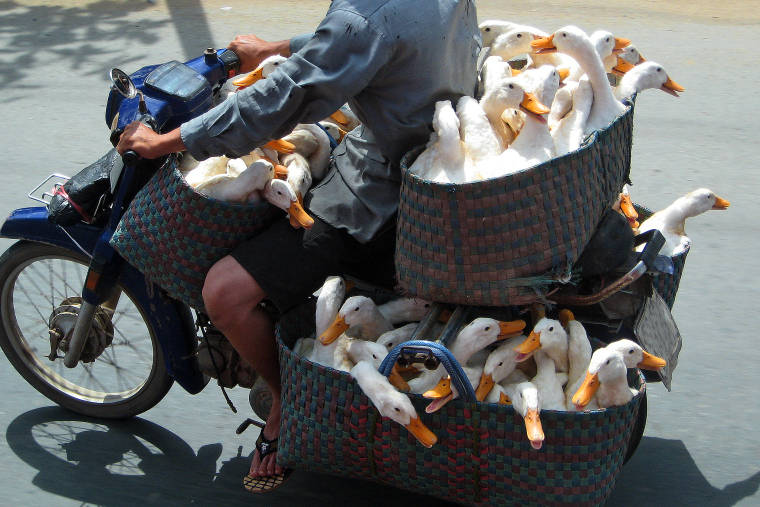 Vietnam: Will Riding Motorbikes Through the City Become a Thing of the Past?_fororder_VCG41N1455689210