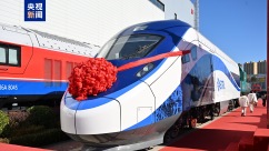 中企为马来西亚生产的两款列车在辽宁大连下线