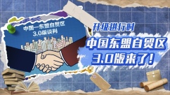 中国-东盟自贸区3.0版来了！这些变化与你有关_fororder_IMG_1552