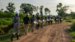 Timid? Not These “Furry Heroes”: Cambodia’s Post-War Landmine Detecting Rats
