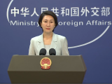 中方制裁菲律宾一前参议员 外交部：损害中国利益必然要付出代价