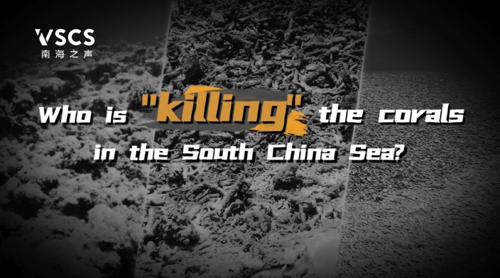 Who is 'killing' the corals in the South China Sea?_fororder_图像2025-4-28 11.18