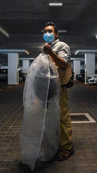 Malaysian Rescue Group Gives Urban Bees a New Home