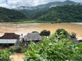 越南北部强降雨引发灾害 已致10人死亡