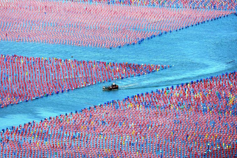 “海上牧场” 夏耕正酣_fororder_VCG111578352717
