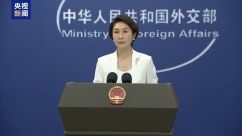 China Backs Indonesia's Pledge to Protect Chinese Investors as 'Family'_fororder_eec2fefd-41aa-48fd-9842-3670e09d8532.1206x678.760x427