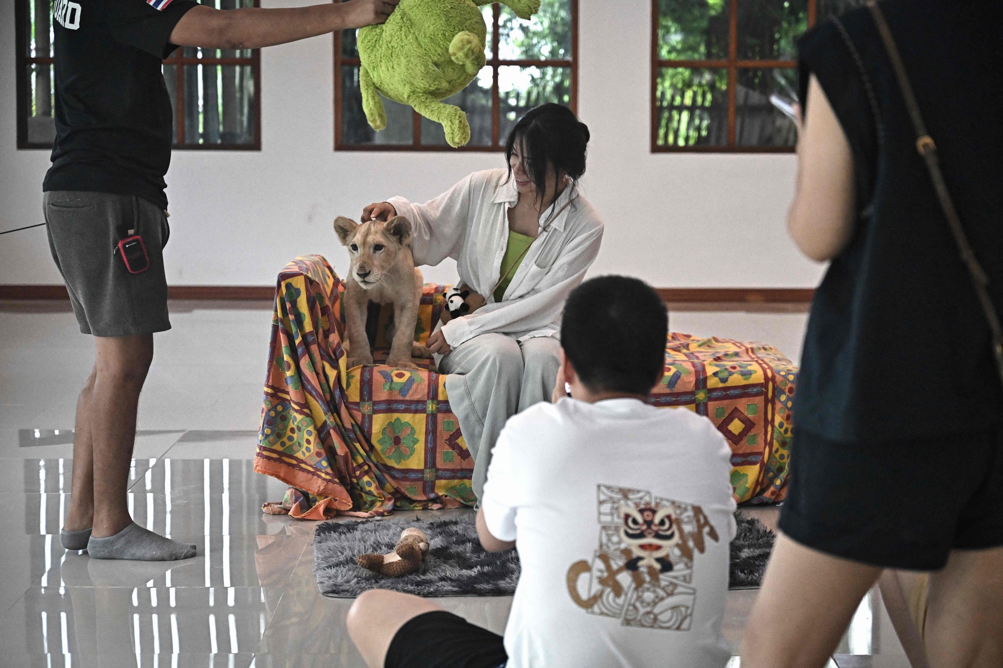 Coffee with Lion Cubs, Dare to Try?_fororder_VCG111582184965