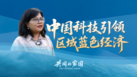 印尼学者：中国科技引领蓝色经济