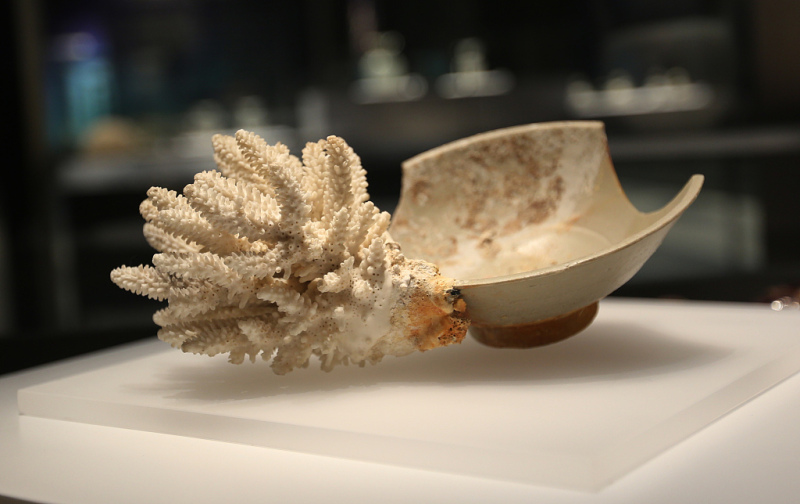Huaguangjiao One: A Time Capsule from 800 Years Ago