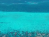 东盟学者如何评价黄岩岛国家级自然保护区？