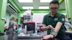 马来西亚专家发现：臭虫或成法医“新证人”