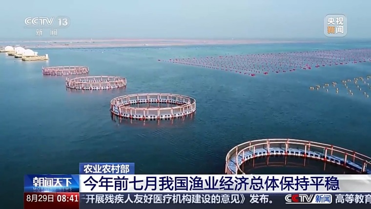 成交量、成交额双增长 今年前七个月我国渔业经济总体保持平稳_fororder_IMG_5503