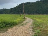 二战日军修建泰缅“死亡铁路”遗迹浮出水面