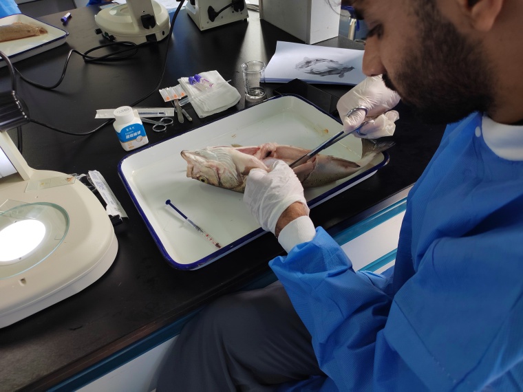 耕海牧渔 共创未来——多国学子探寻绿色渔业“中国方案”_fororder_微信图片_20250626120927