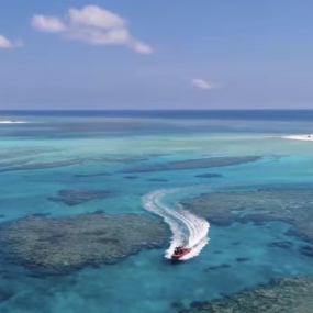 世界银行专家：实现南海渔业可持续发展 唯有合作_fororder_1424111475