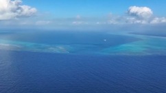 六部门开展“碧海蓝盾2026”执法行动 守护海洋生态