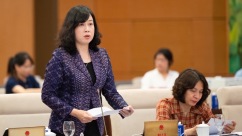 越南国会通过法律修正案 取消生育限制