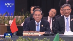 李强出席东盟-中国-海合会峰会_fororder_IMG_1513