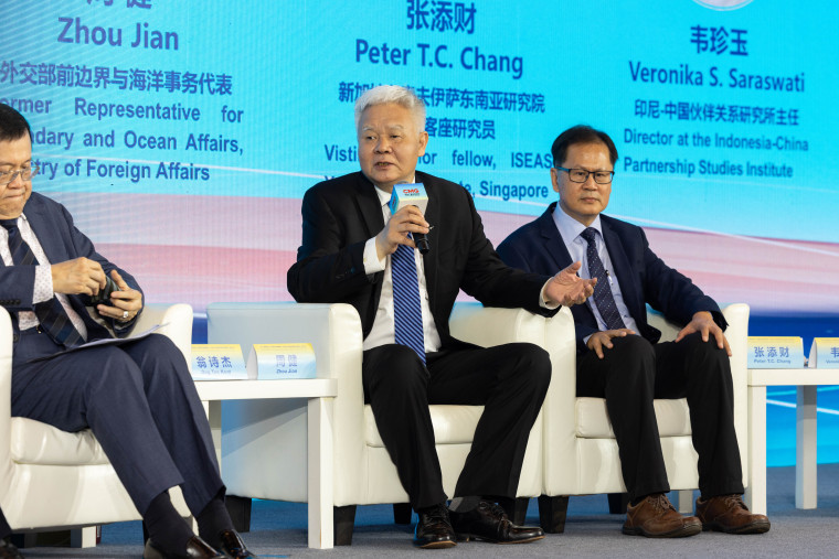 中外专家谈南海问题：中国的反制手段足够强大、足够充裕_fororder_SHEN6614