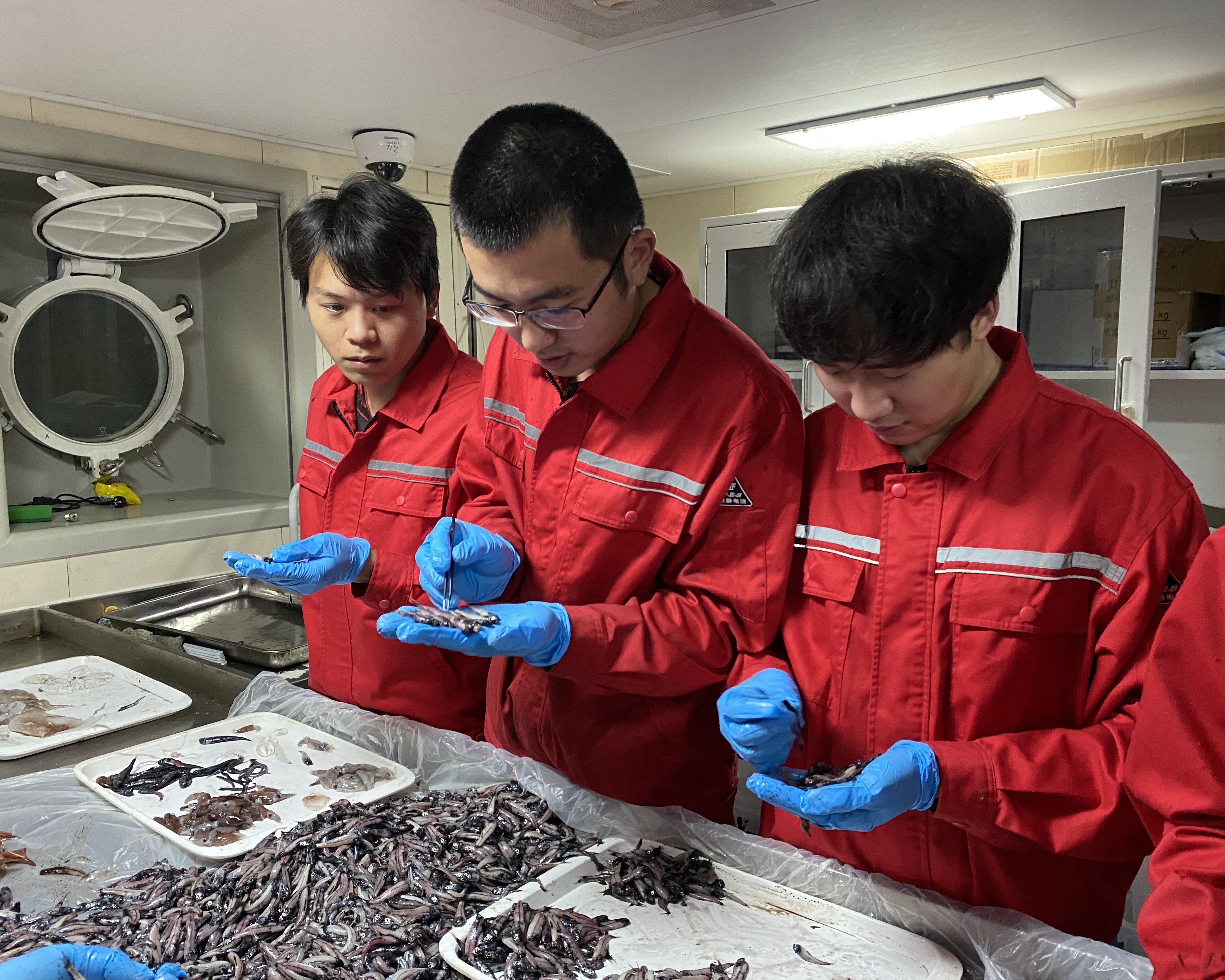它们曾游过1亿多年，却没能等到2026年的地球日_fororder_2