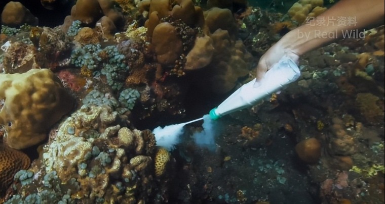 China’s Huangyan Dao Reserve Renews Marine Governance in South China Sea_fororder_e50378b9f112474380aef827a904fb22~tplv-tt-origin-web_gif