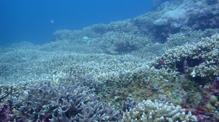 这份黄岩岛最新“体检报告”带来哪些启示？