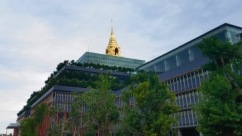 泰国选举委员会正式确认国会下议院选举结果