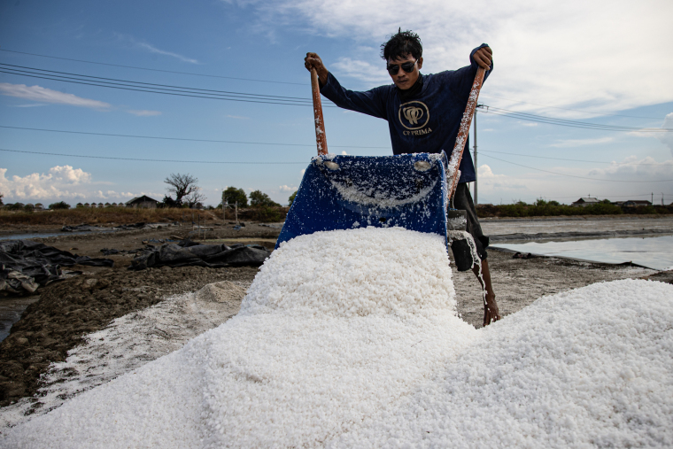 From Sea to Field: Indonesia’s Shining Symbol in Global Trade_fororder_VCG31N2236681226.JPG